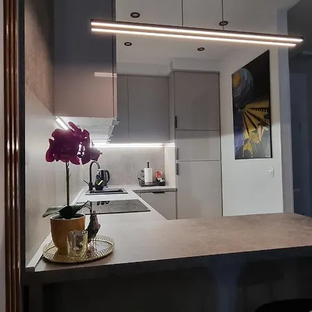 Superb Apartment 